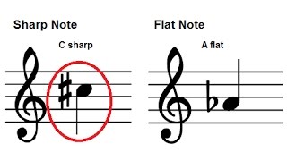 How To Read Music  Accidentals  Sharps and Flats on the Staff  Piano Lesson 12 [upl. by Aivitnahs864]