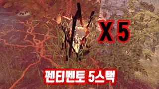 펜티멘토 5스택은 처음이지  Dead by Daylight [upl. by Nairahcaz77]