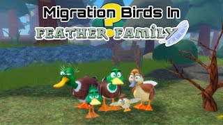 ROBLOX  Feather Family 🕊️ Bird Roleplay [upl. by Cha]