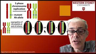 34 Loss of heterozygosity LOH [upl. by Udella]