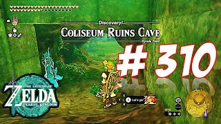 Coliseum Ruins Cave The Legend Of Zelda Tears of the Kingdom Gameplay Nintendo Switch [upl. by Mauchi79]