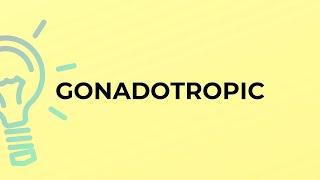 What is the meaning of the word GONADOTROPIC [upl. by Orihakat]