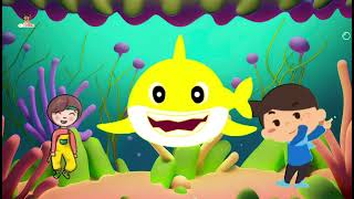 Tiney Ocean Baby Sharks Preschool Rhymes  Baby shark long  Baby shark dance [upl. by Bertasi]