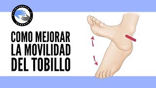 ¿Por que la movilidad del tobillo es tan importante ejercicios para mejorarla [upl. by Ysak819]