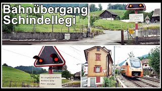 Kleiner Bahnübergang beim Bahnhof Schindellegi Kanton Schwyz Schweiz 2019 [upl. by Elvira]