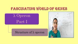 lambda operon  Structure of lambda operon [upl. by Moreno103]