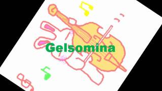 道～Gelsomina [upl. by Erlin]