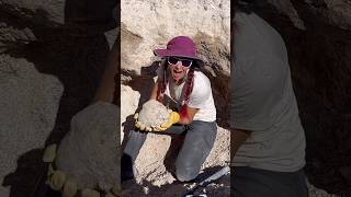 15 pound geode reveal from Dugway Geo beds Geology ￼ crystals rockhound ￼ [upl. by Alamap]