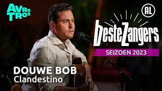 Douwe Bob  Clandestino  Beste Zangers 2023 [upl. by Messing11]