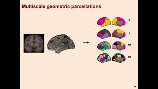 OHBM 2024  Symposium  James Pang  Geometric principles governing regional organization of the … [upl. by Ahtabbat]