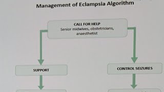 Eclampsia Algorithm mangement  and  International patient safety goals [upl. by Nannaihr503]