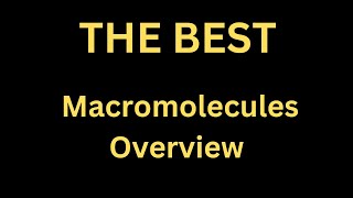 THE BEST Macromolecules Overview macromolecules mbbs medicine mbbsstudents medicine [upl. by Berners712]