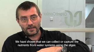 Algae Innovation Video [upl. by Nref638]