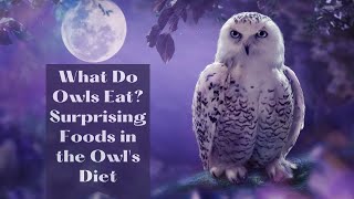 What Do Owls Eat Surprising Foods in the Owls Diet [upl. by Noteloc367]