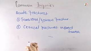 Acute fractures  Common injuries of the spine Biomechanics of spine [upl. by Elfie]