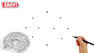 Dots की मदद से Human Brain Diagram drawing  Human Brain Diagram Class 10 [upl. by Aihsitan]