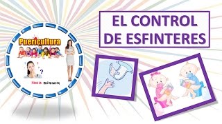 Crianza higiene y puericultura  control de esfinteres en niños de 1 a 3 años  Educacion infantil [upl. by Norrag]