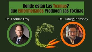 El Video Que Cambiara Tu VIDA Con El Dr Thomas Levy amp Dr Ludwig Johnson [upl. by Ardekahs]