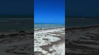 Holbox en el Caribe mexicano [upl. by Etak384]