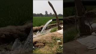 Solar pump Low Water Problem agriculture [upl. by Ibed]