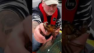 Creel fishing on an inflatable boat SIb Loch Fyne My Dingy and Me [upl. by Dickie227]