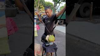 Malaysian coconut master cutting coconuts in the most special way [upl. by Adnahsam]