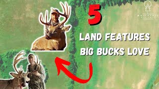 Here Are 5 Key Land Features Big Bucks Use As Travel Routes [upl. by Faxen308]