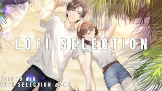 Lofi  Selection of 3 songs 205 [upl. by Weight]