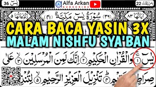 MUROTTAL SURAH YASIN 3X amp NIATNYA 4K amalan malam nishfu syaban jatuh pada tanggal 25 februari 2024 [upl. by Ahsitniuq]