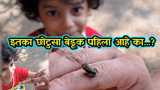 इतका छोटुसा बेडूक पाहिला आहे का Frog babyfrog Kokan Village Villagelife Gaav [upl. by Oal]