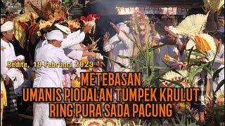 METEBASAN  UMANIS PIODALAN TUMPEK KRULUT  RING PURA SADA PACUNG [upl. by Sallyann]