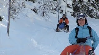 Schlittenfahren in Tirol Winterurlaub im Skigebiet Tirol ⛷ [upl. by Beryle]