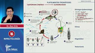 Parásitos Platelmintos Tremátodes Fasciola Schistosoma Clonorchis Paragonimus mp4 [upl. by Piefer370]