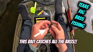 Texas Rig Kayak Bass Fishing  Bass after Bass [upl. by Jenni]