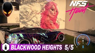 Need For Speed Heat  Localisation des STREET ART 55  Blackwood Heights [upl. by Zulch104]