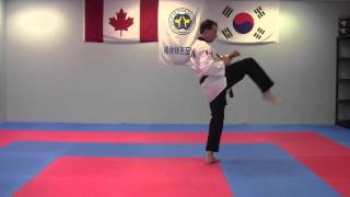 Poomsae 2  Taegeuk E Jang [upl. by Cassandre612]