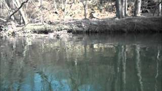 Fly Fishing Early Black Stoneflies with Jim Misiura [upl. by Alboran]