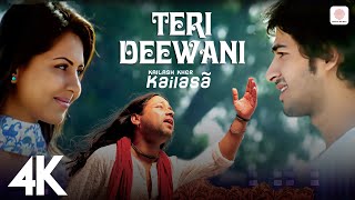 Teri Deewani  Kailash Kher 4K Video  Kailasa  Paresh  Naresh [upl. by Hervey]