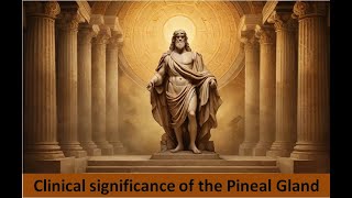 3 Clinical significance of the Pineal Gland [upl. by Nnylaf952]