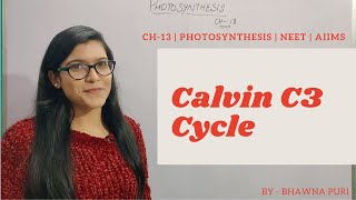 Ch13  Photosynthesis L02 Calvin C3 cycle  dark reaction  Class 11th  NEET  AIIMS [upl. by Yehs]