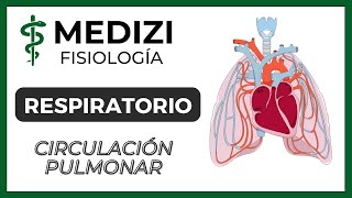 Clase 38 Fisiología Respiratoria  Circulación Pulmonar Edema Pulmonar IGdoctorpaiva [upl. by Delinda517]