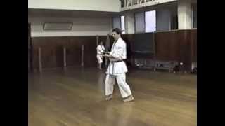 13 Okinawa Goju Ryu Kata [upl. by Sunday]