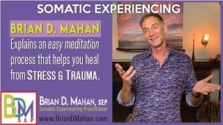 Somatic Experiencing Easy Meditation w Brian Mahan Stress amp Trauma Specialist [upl. by Bruyn770]