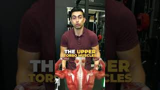 🔥The BEST Way To Burn Love Handles Fat [upl. by Seen]