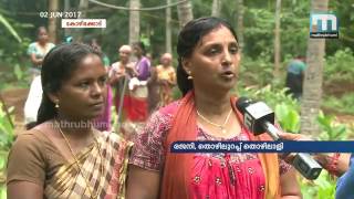 MNREGA sabotaged തൊഴിലുറപ്പ് പദ്ധതി അട്ടിമറിയ്ക്കുന്നു [upl. by Leanahtan245]