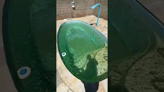 Limpando piscina com algas fy limpeza satisfying pool satisfy piscinas dicas casa fyp [upl. by Aundrea]