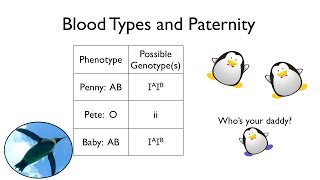 Blood Types and Paternity [upl. by Debbra]