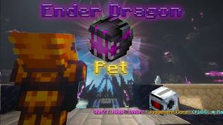 How i got Ender Dragon pet on ironman edrag grind epi 3 Hypixel Skyblock [upl. by Llyrad461]