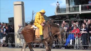 Garnaalvissers te Paard Oostduinkerke tijdens Koetsen Defilé De Panne 2011 [upl. by Akeit]