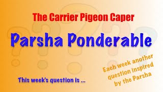 ponderable question mishpatim [upl. by Yerffoeg]